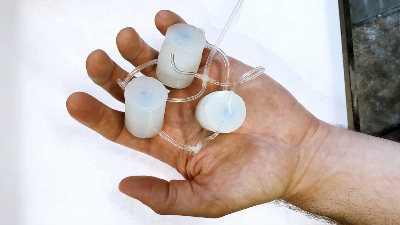soft-legged robots